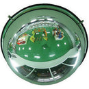 Dim Gray Hemispherical Safety Mirror